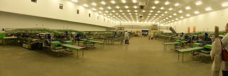 A 'Panoramic view' of the state of the art pack-house